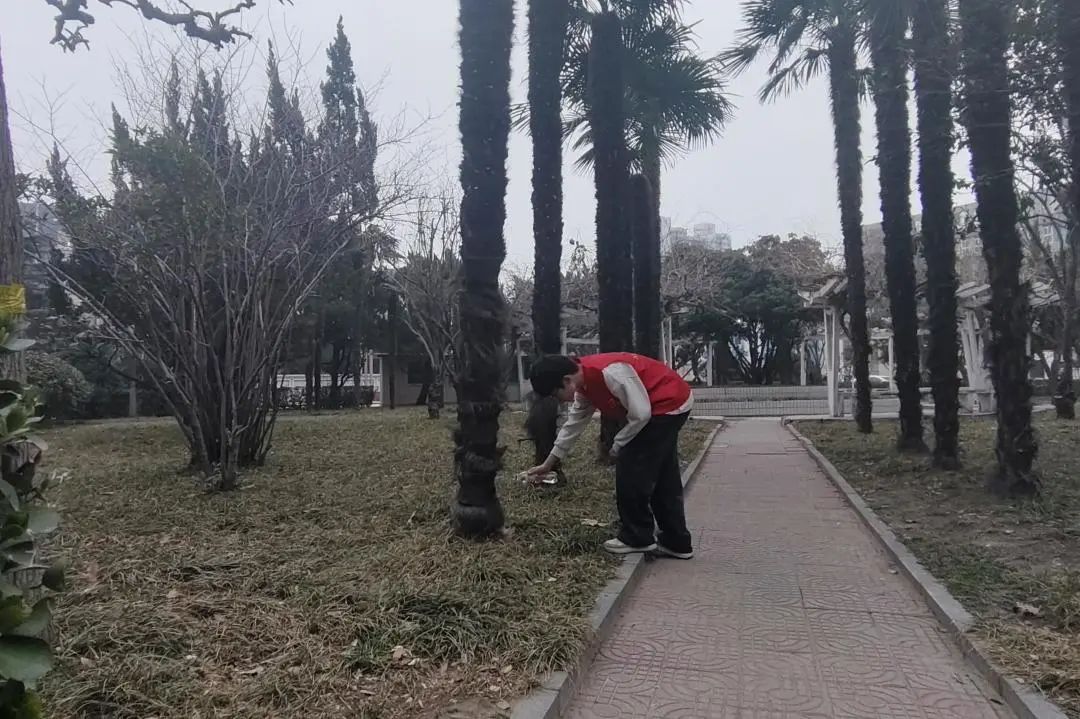 269BA